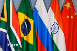 Quốc kỳ các quốc gia thành viên BRICS. (Ảnh: Getty Images/TTXVN)