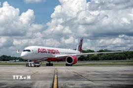 Một máy bay của hãng hàng không Air India. (Ảnh: ANI/TTXVN)