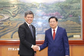 Trưởng Ban Nội chính Trung ương Phan Đình Trạc hội đàm với Phó Tổng Thư ký Đảng Hành động Nhân dân Singapore Chan Chun Sing. (Ảnh: Phương Hoa/TTXVN)