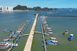 Tàu du lịch neo đậu tại Cảng tàu khách quốc tế Hạ Long. (Ảnh: Đức Hiếu/TTXVN)