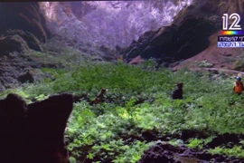 Ảnh chụp màn hình cảnh tượng ngoạn mục bên trong hang Sơn Đoòng. (Ảnh: Thanh Bình/TTXVN)