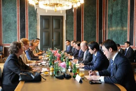 Đoàn đại biểu Đảng cộng sản Việt Nam làm việc cùng Phó Chủ tịch Hội đồng Quốc gia Áo, Peter Haubner. (Ảnh: Thu Hằng/TTXVN)