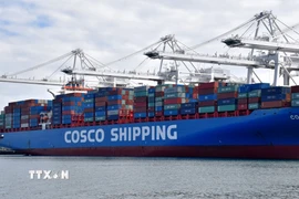 Tàu chở hàng của Tập đoàn vận tải biển Trung Quốc COSCO neo tại cảng Long Beach ở Los Angeles (Mỹ). (Ảnh: THX/TTXVN)