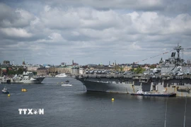 (Ảnh minh họa. The Defense Post/TTXVN)