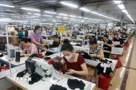 Hoạt động tại Công ty may TNG Thái Nguyên. (Ảnh: Trần Việt/TTXVN)