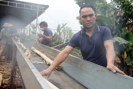 Anh Lê Thế Phong, thôn Trung Thành, xã Lương Sơn, huyện Thường Xuân (Thanh Hóa) nghỉ việc nhà nước sau 13 năm làm giáo viên, năm 2020 ra ngoài xây dựng cơ sở băm dăm keo đã bước đầu thành công. (Ảnh: Việt Hoàng/TTXVN)