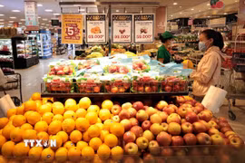 (Ảnh: Trần Việt/TTXVN)