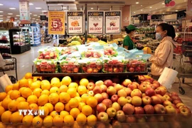 (Ảnh: Trần Việt/TTXVN)