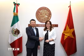 Đại sứ Việt Nam được bổ nhiệm tại Mexico Nguyễn Văn Hải (trái) và Chủ tịch Ủy ban Đối ngoại Thượng viện Mexico Yeidckol Polevnsky Gurwitz. (Ảnh: Phi Hùng/TTXVN)