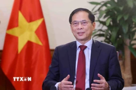 Phó Thủ tướng, Bộ trưởng Ngoại giao Bùi Thanh Sơn. (Ảnh: Phạm Kiên/TTXVN)