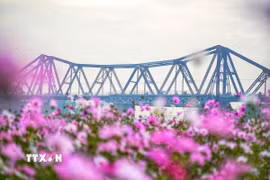 Vẻ đẹp của cầu Long Biên (Hà Nội). (Ảnh: Khánh Hòa/TTXVN)