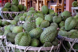 Sầu riêng. (Ảnh: Hồng Đạt/TTXVN)