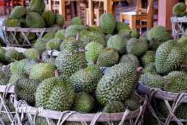 Sầu riêng. (Ảnh: Hồng Đạt/TTXVN)