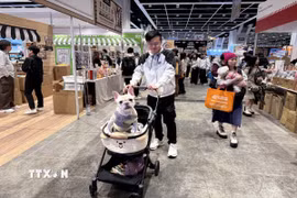 Thú cưng được đưa đi dạo tại lễ hội ở Hong Kong. (Ảnh: Mạc Luyện/TTXVN)