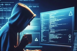 Ảnh minh họa. (Ảnh: Vietnam+)