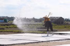 Độc đáo quy trình làm muối của diêm dân vùng ven biển, bãi ngang ở Nghệ An
