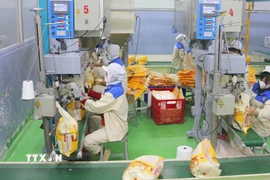 Đóng gói gạo xuất khẩu tại nhà máy của Công ty Lương thực Thạo Sơn. (Ảnh: Công Mạo/TTXVN)