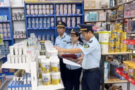 (Ảnh minh họa. Đinh Thùy/TTXVN)