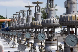 Một cơ sở dự trữ khí đốt ở Zsana (Hungary). (Ảnh: THX/TTXVN)