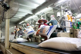 Dây chuyền đóng bao gạo xuất khẩu tại tỉnh An Giang. (Ảnh: Hồng Đạt/TTXVN)