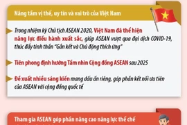 Việt Nam có nhiều đóng góp thiết thực vào thành công của ASEAN