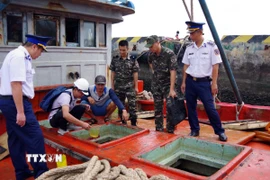 Lực lượng chức năng kiểm tra, xử lý một tàu chở dầu không rõ nguồn gốc ở Bà Rịa-Vũng Tàu hồi cuối năm ngoái. (Ảnh minh họa: TTXVN phát)