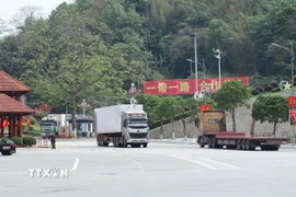 Phương tiện xuất nhập khẩu hàng hóa thông quan qua Cửa khẩu quốc tế Hữu Nghị (Lạng Sơn). (Ảnh: Quang Duy/TTXVN)