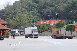 Phương tiện xuất nhập khẩu hàng hóa thông quan qua Cửa khẩu quốc tế Hữu Nghị (Lạng Sơn). (Ảnh: Quang Duy/TTXVN)