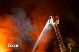 Ảnh minh họa. (Ảnh: REX/TTXVN)