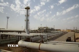 Ảnh minh họa. (Ảnh: IRNA/TTXVN)