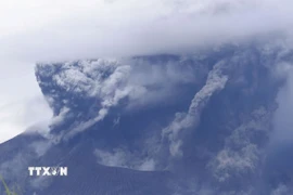 Núi lửa Sakurajima ở tỉnh Kagoshima (Nhật Bản) phun trào hồi tháng Bảy năm ngoái. (Ảnh: Kyodo/TTXVN)