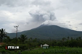 Núi lửa Lewotobi Laki-Laki ở Đông Flores, tỉnh Đông Nusa Tenggara, Indonesia. (Ảnh: THX/TTXVN)