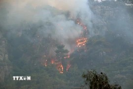 Ảnh minh họa. (Ảnh: THX/TTXVN)