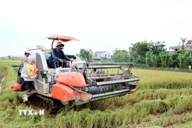 Việt Nam thúc đẩy hợp tác nông nghiệp với tỉnh Formosa của Argentina