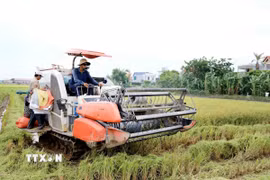 Việt Nam thúc đẩy hợp tác nông nghiệp với tỉnh Formosa của Argentina