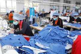 May hàng xuất khẩu tại Công ty may Hưng Việt ở Phố Nối (Hưng Yên). (Ảnh: Trần Việt/TTXVN)