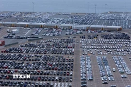 Ôtô chờ xuất khẩu tại cảng ở San Diego, bang California (Mỹ), ngày 26/3/2025. (Ảnh: Reuters/TTXVN)