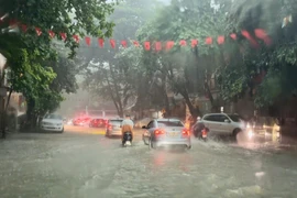 Ảnh minh họa. (Ảnh: Hoàng Hải/TTXVN)