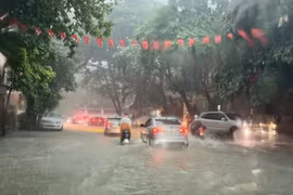 Ảnh minh họa. (Ảnh: Hoàng Hải/TTXVN)