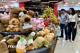 Mua sắm và vui chơi tại trung tâm thương mại ở Thành phố Hồ Chí Minh. (Ảnh: Mỹ Phương/TTXVN)