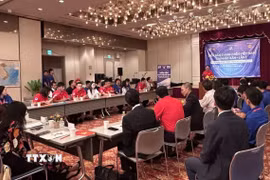 Diễn đàn Thanh niên Việt Nam tại Nhật Bản. (Ảnh: Nguyễn Tuyến/TTXVN)
