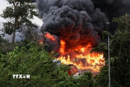 Ảnh chỉ mang tính minh họa. (Ảnh: THX/TTXVN)