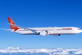 Một máy bay của hãng hàng không Air India. (Ảnh: ANI/TTXVN)