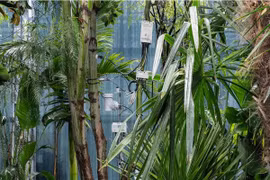 (Nguồn: Forbes)