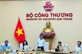 Bộ trưởng Bộ Công Thương Nguyễn Hồng Diên phát biểu tại một hội nghị. (Ảnh minh họa: PV/Vietnam+)