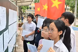 Ảnh minh họa. (Ảnh: Nguyễn Cúc/TTXVN)