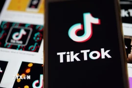Biểu tượng TikTok trên màn hình điện thoại di động tại Arlington, Virginia (Mỹ). (Ảnh: THX/TTXVN)