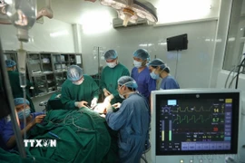 Ảnh chỉ mang tính minh họa. (Ảnh: Minh Quyết/TTXVN)