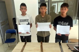 Các đối tượng bị bắt giữ. (Ảnh: TTXVN phát)