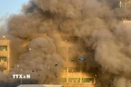 Ảnh minh họa. (Ảnh: THX/TTXVN)